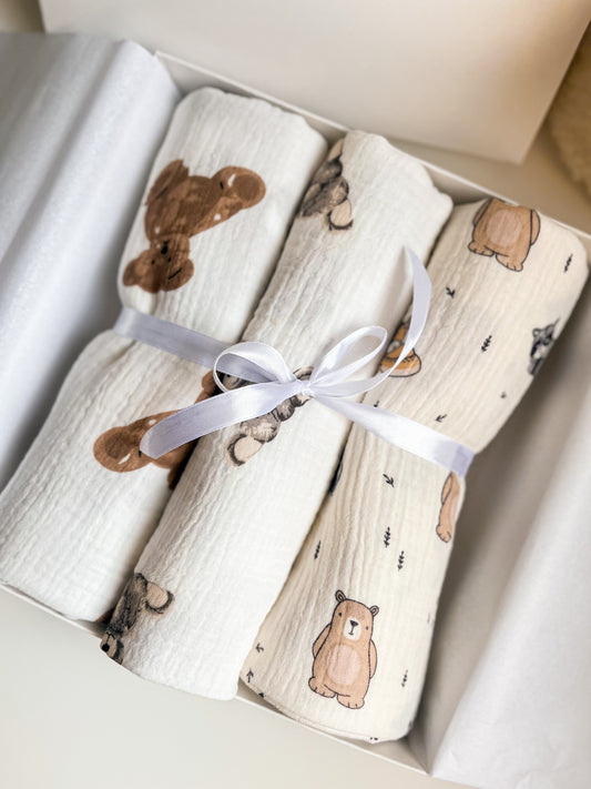 Dovanų rinkinys ,,Sapnelis''